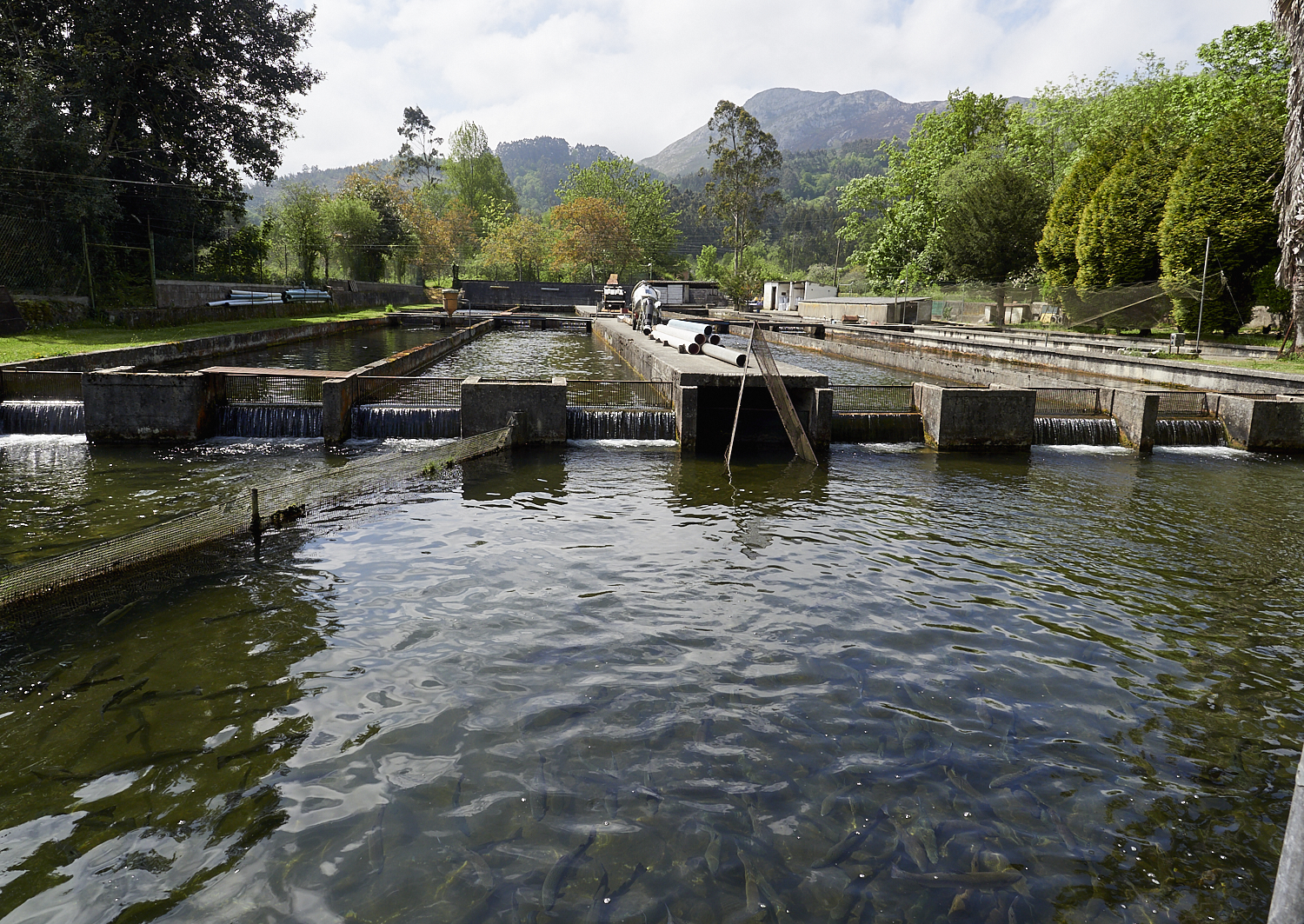 Cetáreas de Llanes - instalaciones