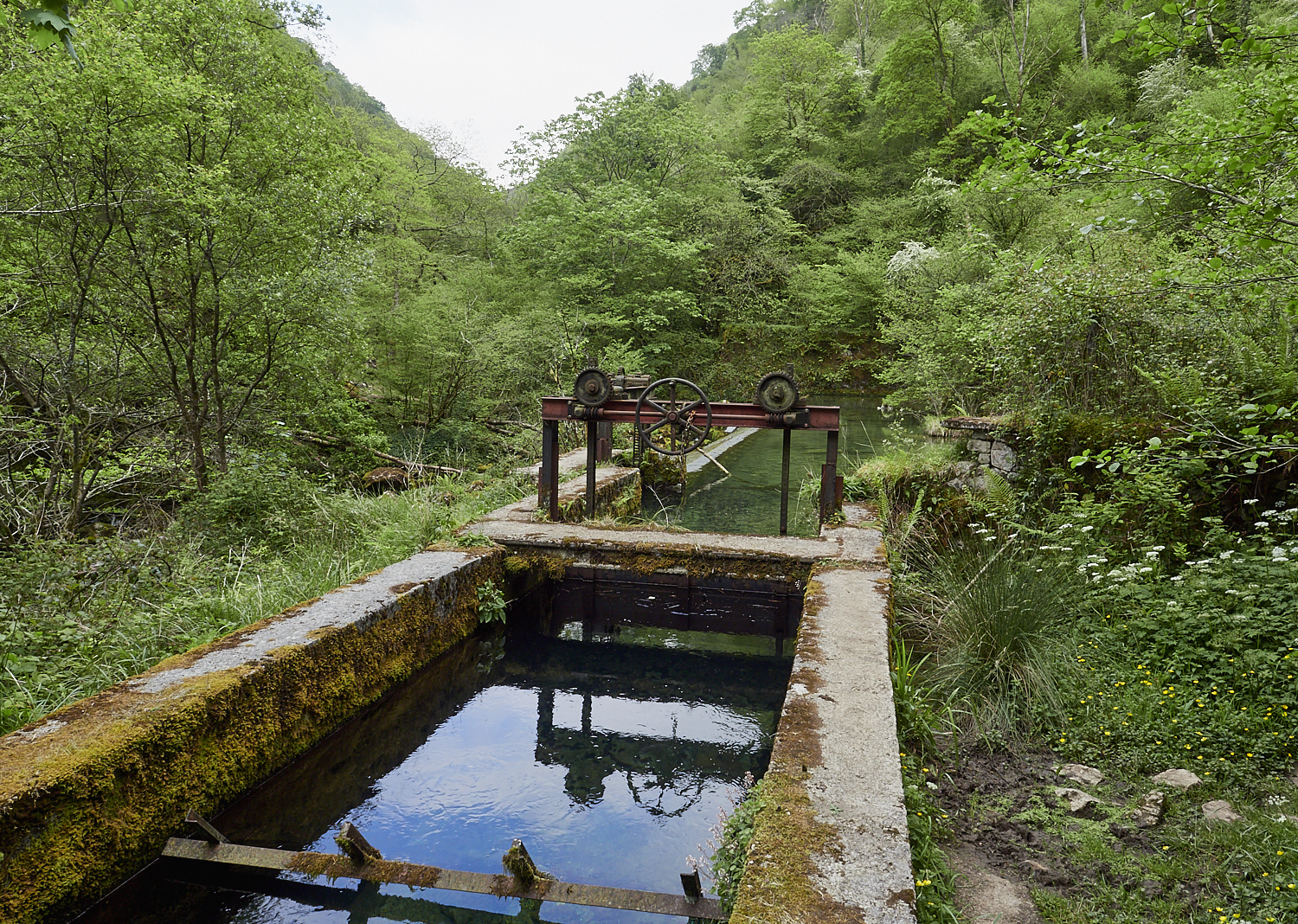 Cetáreas de Llanes - costa