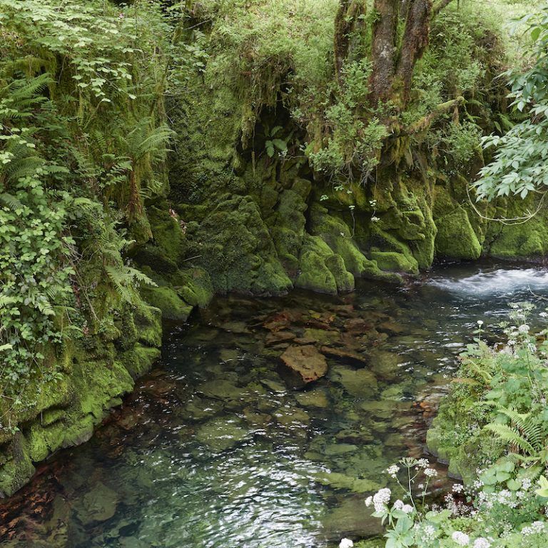 Cetáreas de Llanes, costa cantábrica