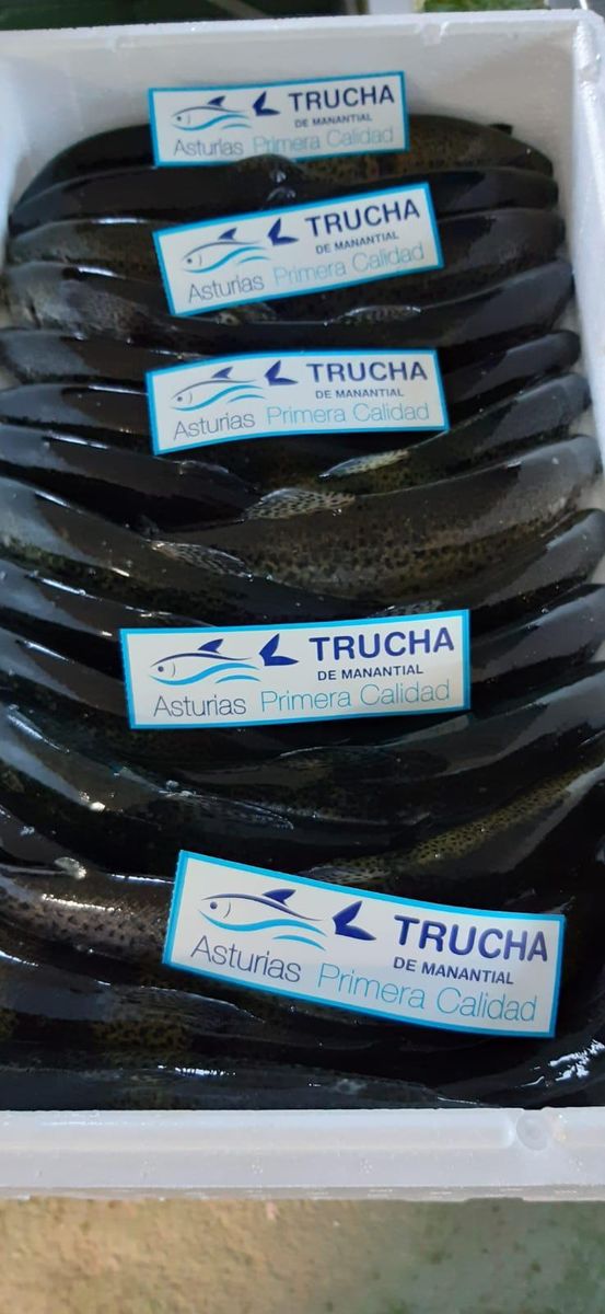 Lomos de trucha envasados al vacío